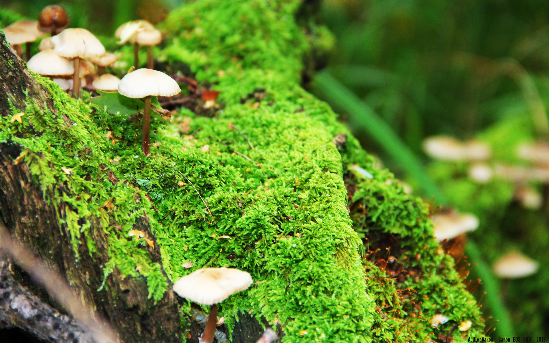 “中超俱乐部启动新的青训合作计划，增强人才储备”，中超球队青训