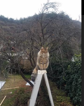 “剧场版战役！逆境中绝地反击成经典，赛场激情燃烧”