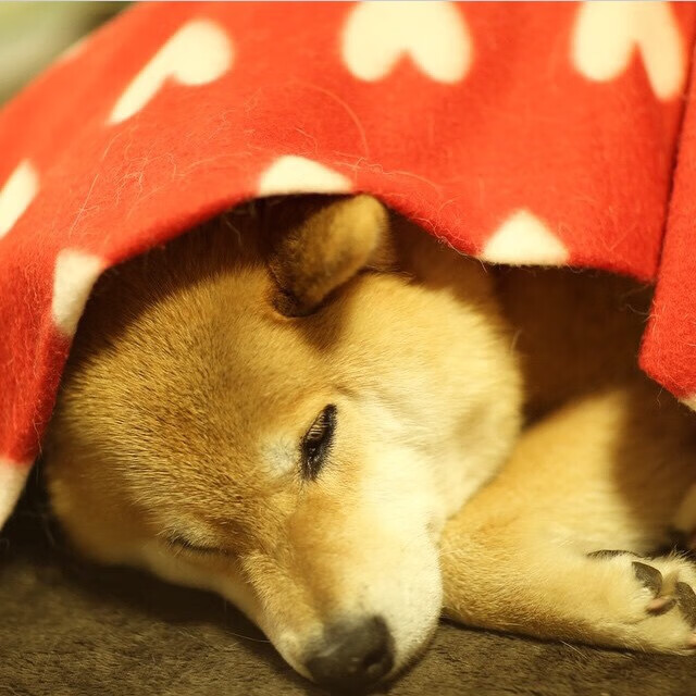 “弯道飞旋：漂移中的速度极限”，3d弯道漂移赛