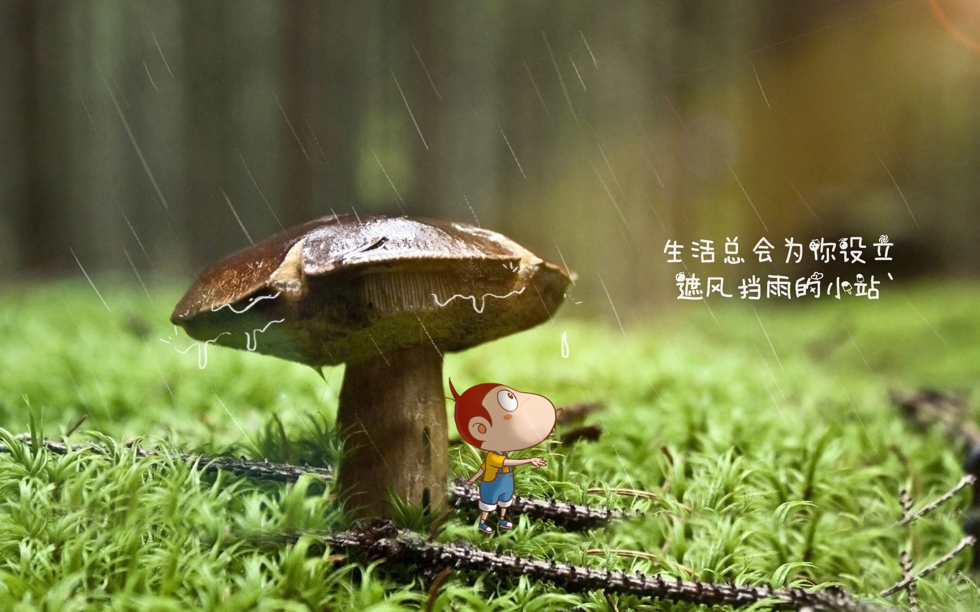中国篮球联赛数据挖掘技术在战术分析中的应用探索，篮球数据分析报告