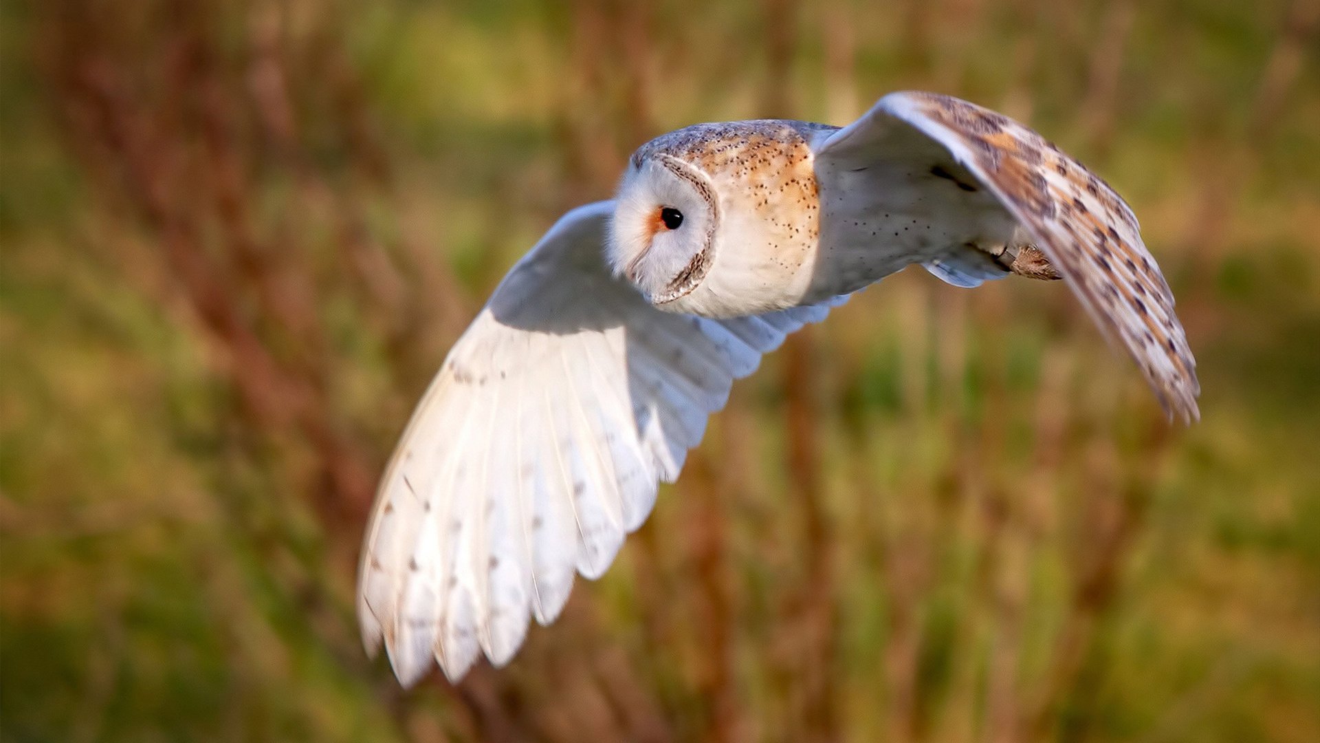 爱游戏娱乐-“健力运动：高新体育中心赛场见证力量与毅力的极限较量”