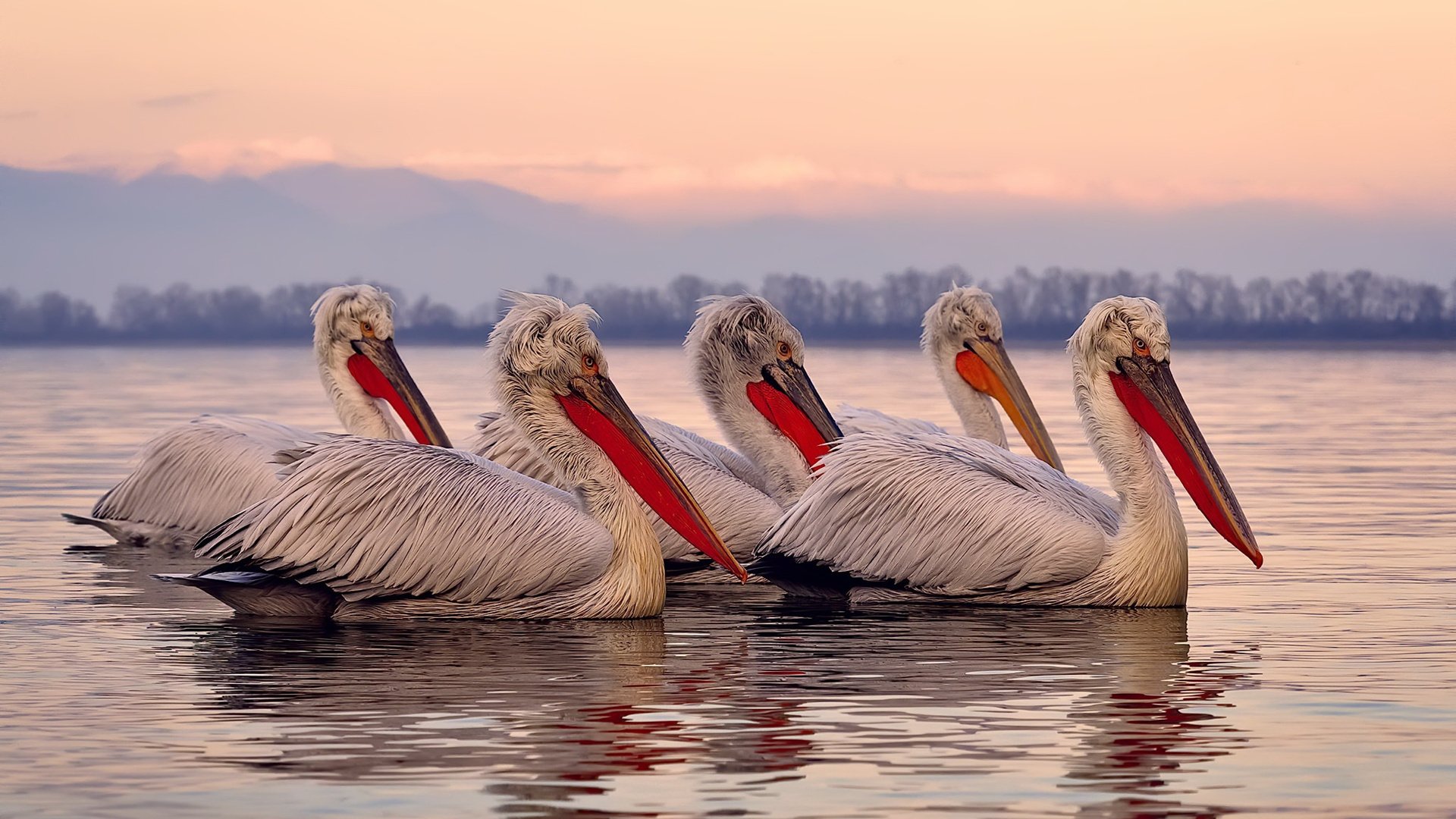 东亚杯U23国足晋级 球员表现备受认可，东亚杯国足3比0韩国