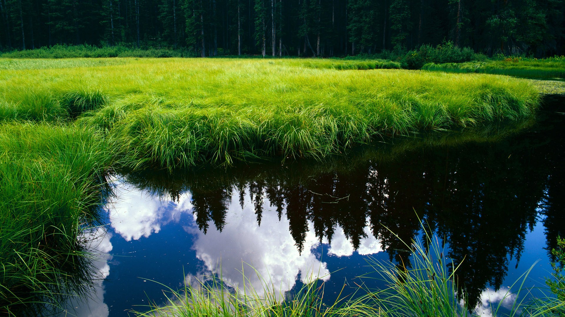 中国女篮热身赛全胜 阵容稳定信心提升，中国女篮wnba热身赛