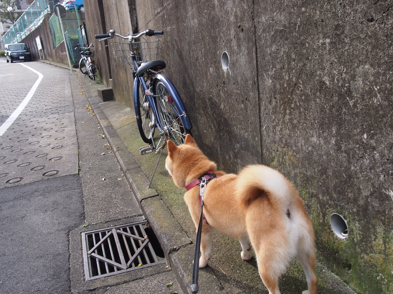 乒乓球大赛期间，选手的身体与心理挑战并存，乒乓球心态