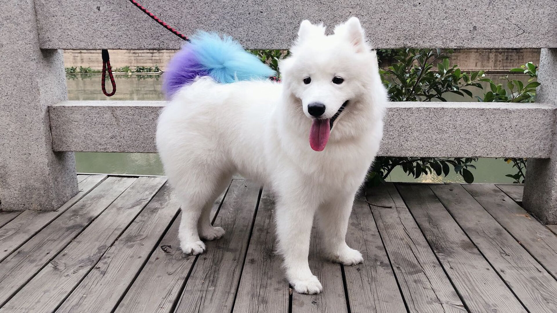 爱游戏-俱乐部文化理念无法传导至青训层级，俱乐部企业文化一般怎么写