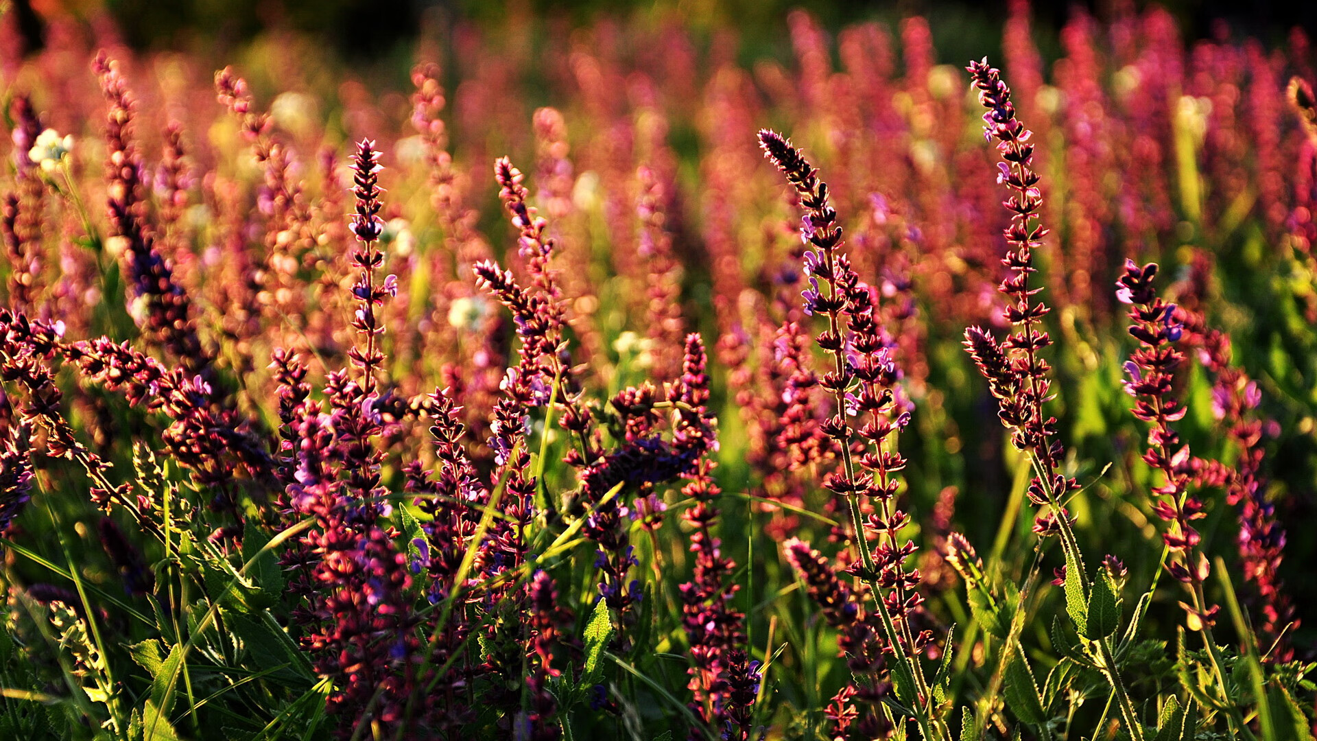 爱游戏体育app-新加坡队在国际乒联混合团体世界杯的技术突破与战术调整，新加坡乒乓球公开赛