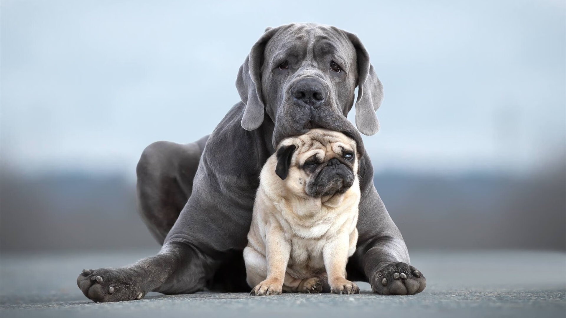 爱游戏app下载-波兰乒乓队未来规划：通过精细化训练打造技术多样性，波兰乒乓球著名运动员