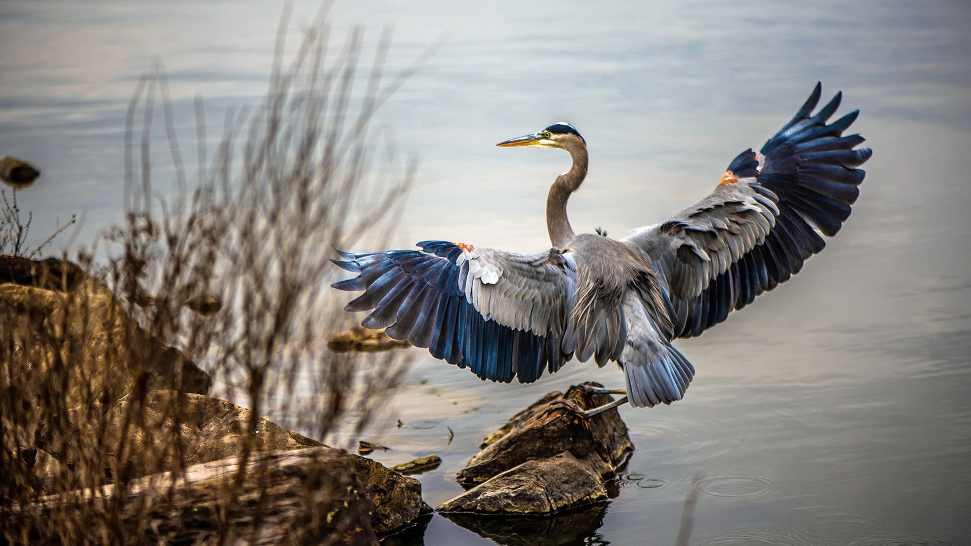 波兰乒乓队未来规划：通过精细化训练打造技术多样性，波兰乒乓球著名运动员