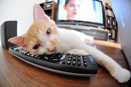 爱游戏体育官方网站-边锋内切是否成为战术进攻组织的常规环节，内切型边锋和伪边锋冲突吗