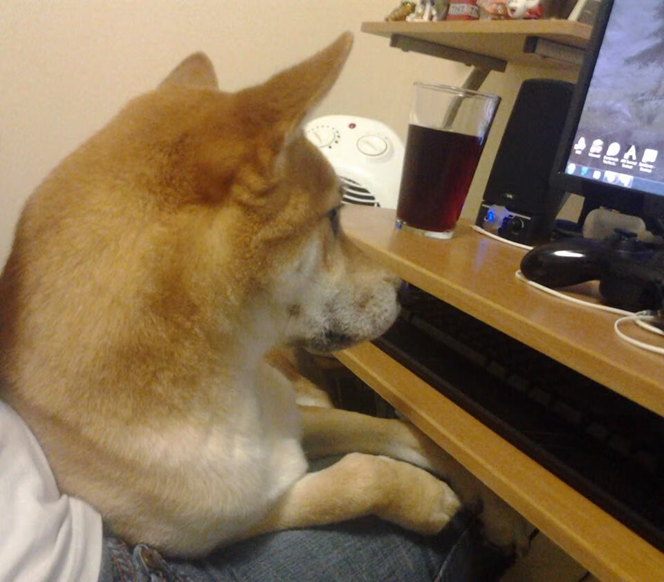 边锋内切是否成为战术进攻组织的常规环节，内切型边锋和伪边锋冲突吗