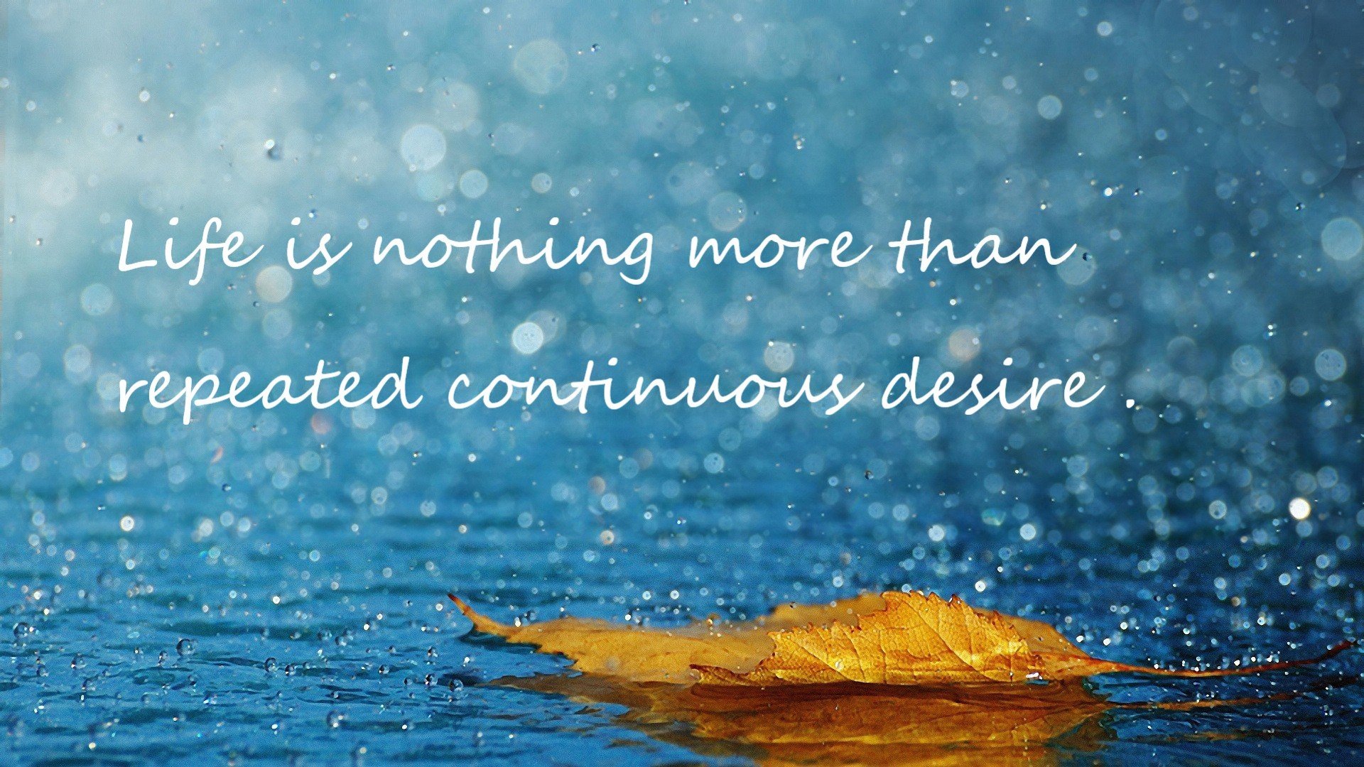 爱游戏平台-青年运动员形象管理加入媒体素养课程，青少年运动员文化教育与人格塑造