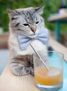 中国足球青训体系创新试点项目启动,中国青训大纲足球训练方法