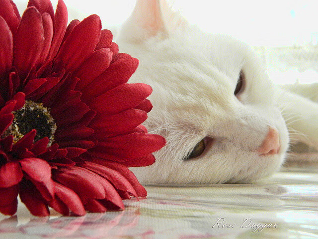 中小学篮球师资力量持续提升形成专业梯队，中小学篮球培训方案