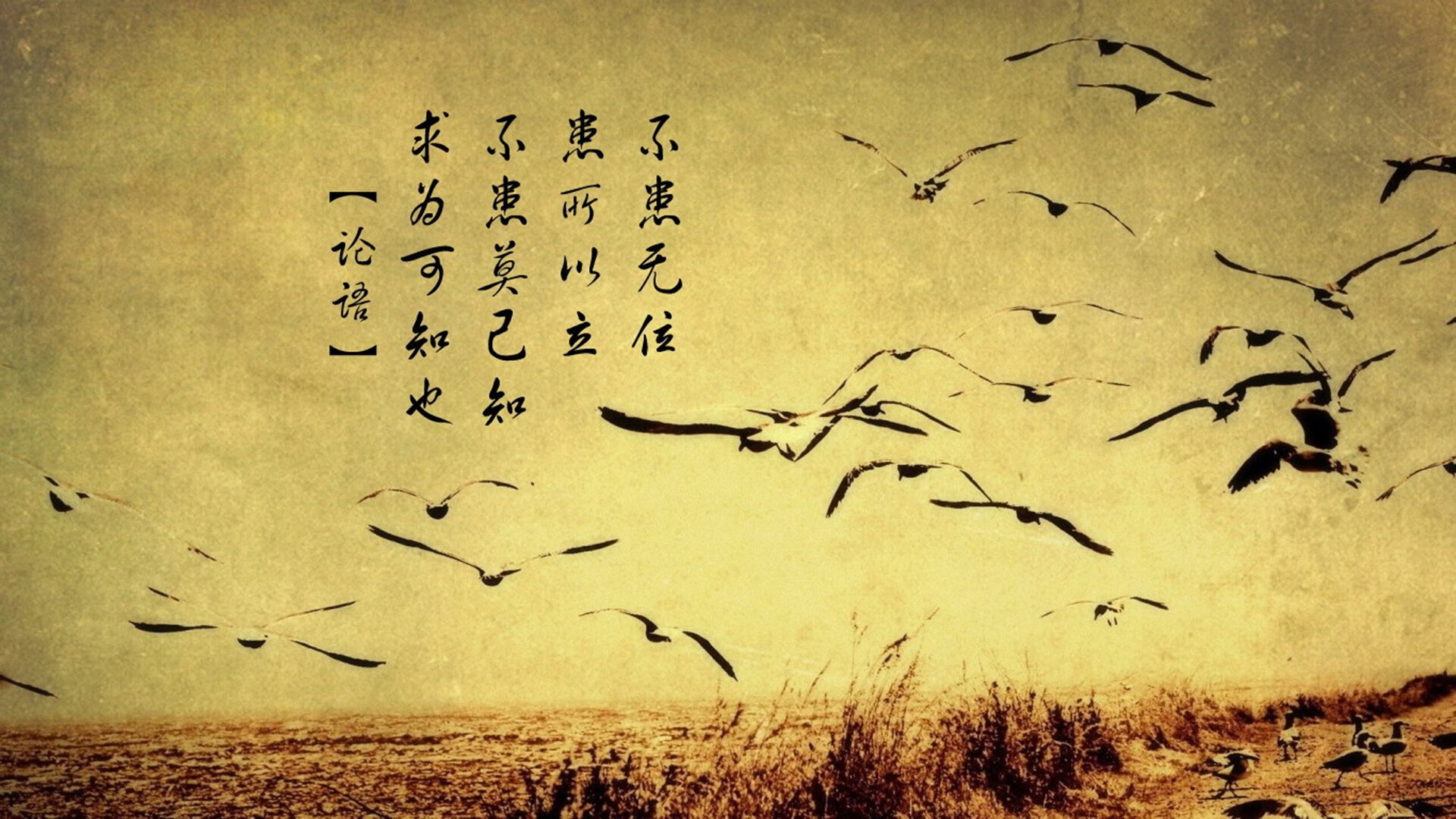 爱游戏娱乐平台-中甲球队设立训练后冷恢复站保障球员体能恢复