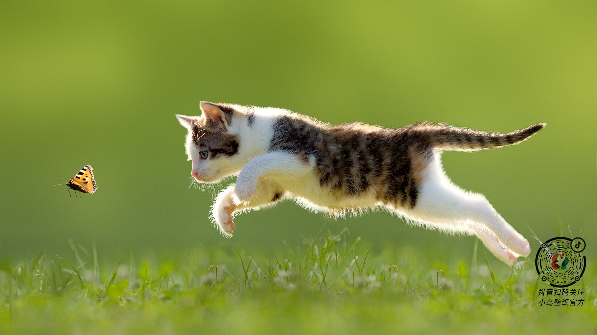 爱游戏官网-全黑队传球与突破一气呵成，敌方防线被频频突破，全黑队战舞