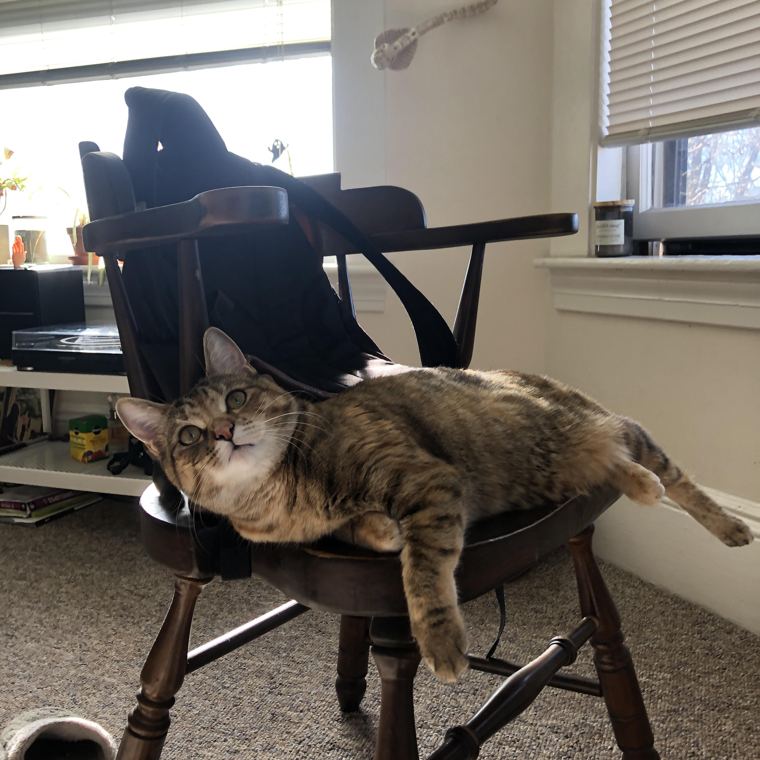 爱游戏娱乐-奥卡拉汉赛后谈训练细节与经验，奥卡拉汉 回忆