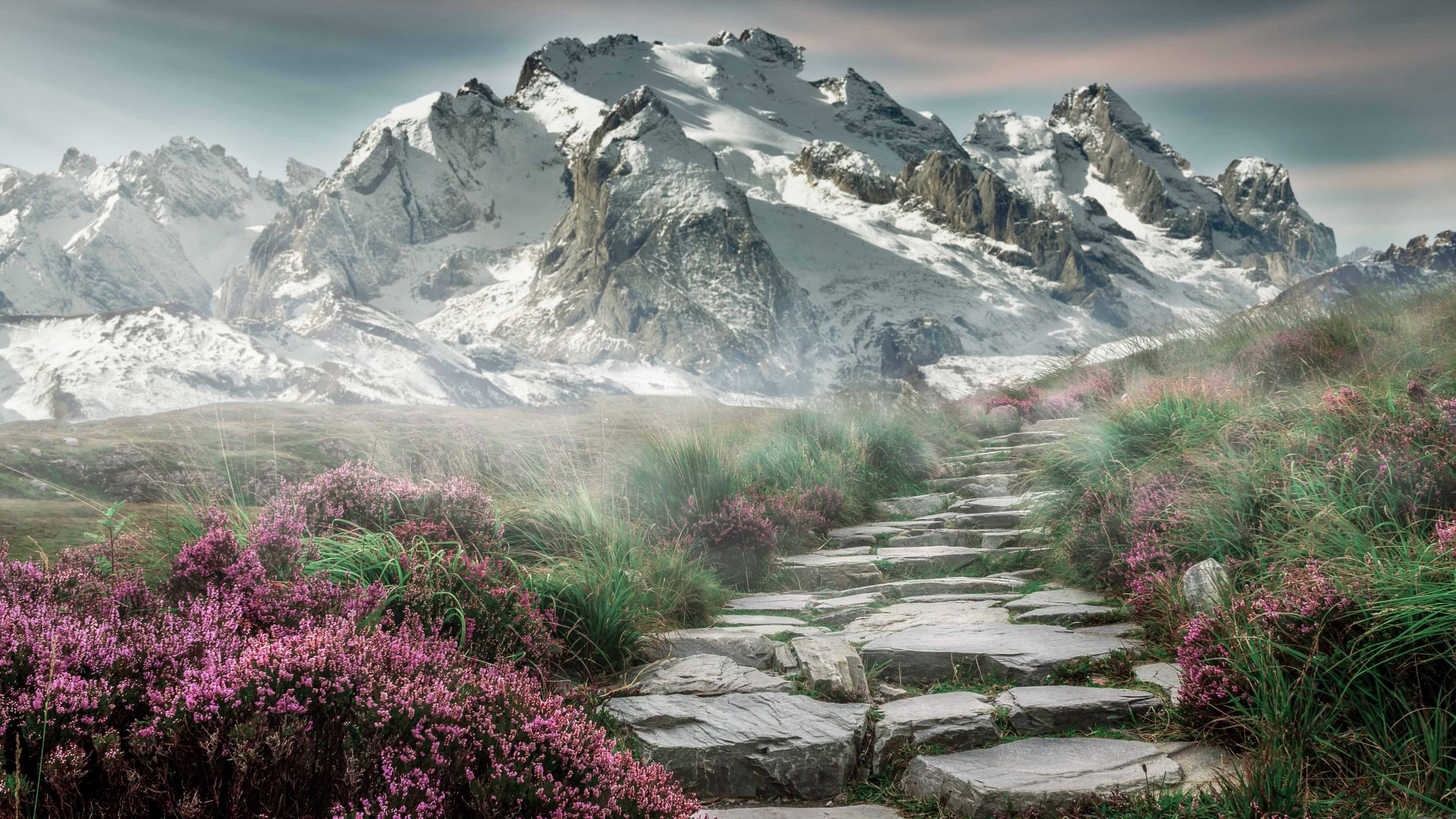 张伟丽表示将挑战自我不留遗憾，张伟丽经典比赛视频