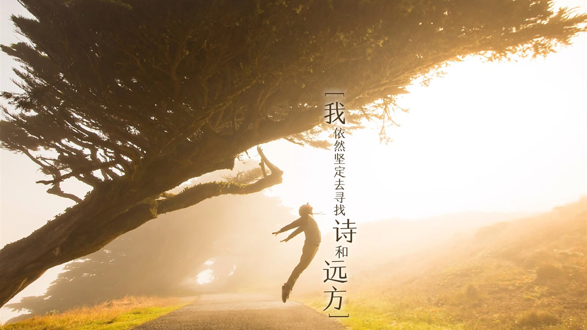 澳大利亚组合冲刺阶段技压群雄，澳大利亚powerball